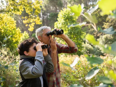 バードウォッチング